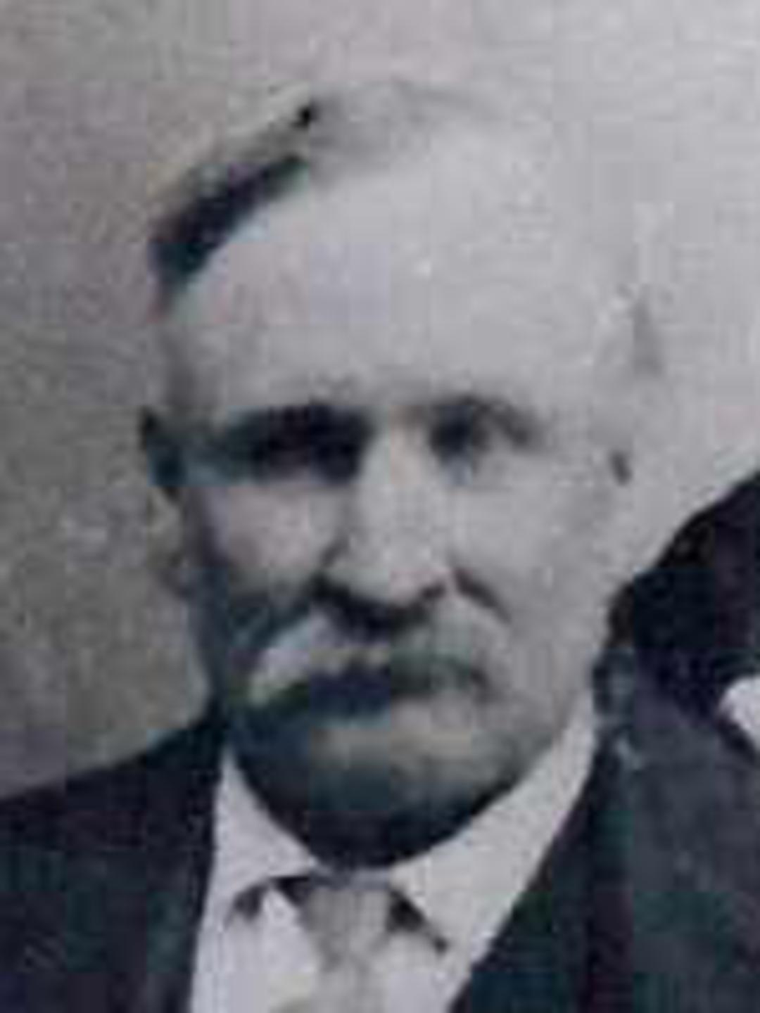 William Sant (1850 - 1913) Profile